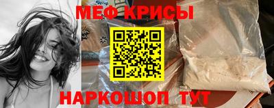 молекула духа Кингисепп