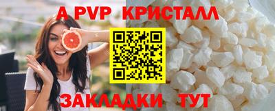 молекула духа Кингисепп