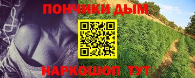 гидра Кимры