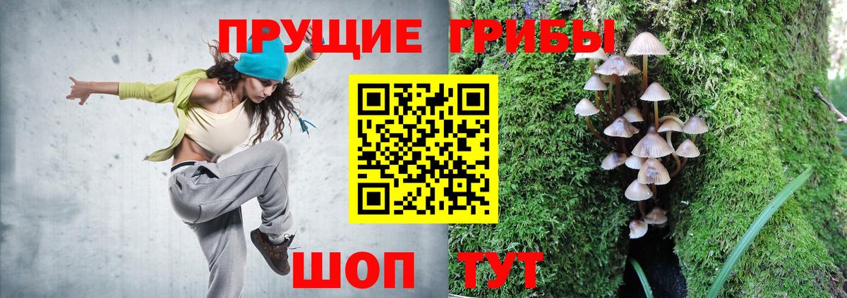 Галлюциногенные грибы GOLDEN TEACHER  сколько стоит  Псилоцибиновые грибы прущие грибы  Владивосток  Вход с VPN 